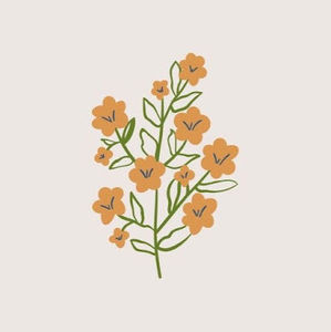 Meet your Posher, Mia